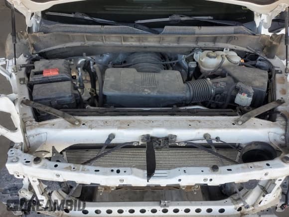 ✅ 2019 Chevrolet Silverado 1500 LT Trail Boss • VIN: 1GCPYFED4KZ113311 • Lot: 67964674. Wystawiony na Copart z przebiegiem 96 435 mil. Bezpłatny archiwum sprzedaży aukcyjnych z USA i szczegółowy raport historii pojazdu na DreamBid. Zdjęcie 13.