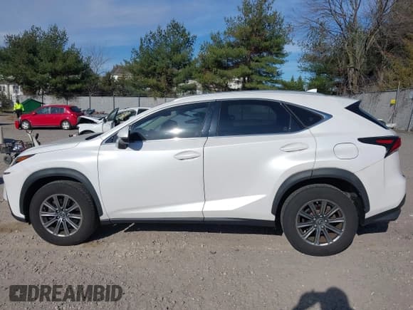 ✅ 2018 Lexus NX 300 • VIN: JTJYARBZ4J2099201 • Lot: 43725939. Listed on IAAI with 48,766 mi. Free auction sales archive from the USA and detailed vehicle history report at DreamBid. Image 12.