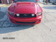 ✅ 2013 Ford Mustang GT • VIN: 1ZVBP8FF7D5244796 • Lot: 42942588. Listed on IAAI with 55,553 mi. Free auction sales archive from the USA and detailed vehicle history report at DreamBid. Image 6.