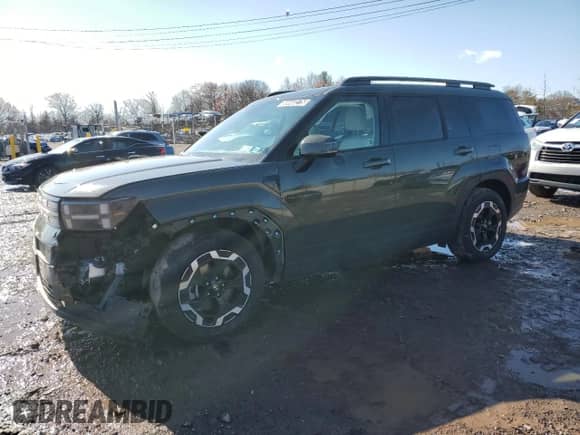 2024 Hyundai Santa Fe SEL с VIN 5NMP2DGL7RH031520, выставлен на аукционе Copart как лот 50440275 с пробегом 23 114 миль миль и Чистый • Clean title. История ставок и продаж доступна на DreamBid. Изображение 1.