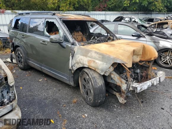 ✅ 2025 Hyundai Santa Fe SEL • VIN: 5NMP2DGL4SH070233 • Лот: 85663375. Опубликован ранее на Copart с пробегом Не указан. Бесплатный доступ к архиву аукционных продаж из США и подробный отчёт об истории автомобиля на DreamBid. Изображение 4.