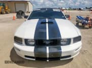 ✅ 2005 Ford Mustang GT Deluxe • VIN: 1ZVHT85H255211280 • Lot: 69271235. Wystawiony na Copart z przebiegiem 109 841 mil. Bezpłatny archiwum sprzedaży aukcyjnych z USA i szczegółowy raport historii pojazdu na DreamBid. Zdjęcie 5.