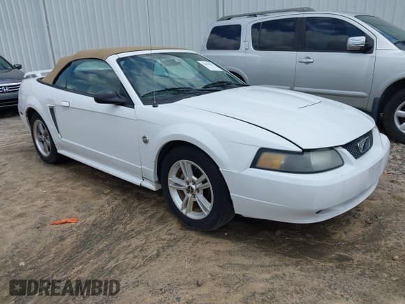 ✅ 2004 Ford Mustang Deluxe • VIN: 1FAFP44644F193077 • Lot: 42455984. Listed on IAAI with 138,265 mi. Free auction sales archive from the USA and detailed vehicle history report at DreamBid. Image 1.