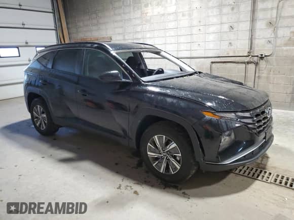 2024 Hyundai Tucson Blue with VIN KM8JBCD14RU209861, listed as a Copart auction lot 81778195 with 8,091 mi miles and Salvage title. Bid and sale history available at DreamBid. Image 4.