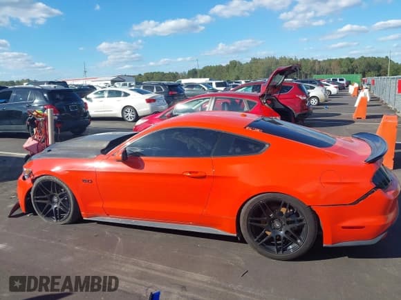 ✅ 2015 Ford Mustang GT Premium • VIN: 1FA6P8CF9F5329897 • Lot: 43313995. Listed on IAAI with 41,986 mi. Free auction sales archive from the USA and detailed vehicle history report at DreamBid. Image 14.