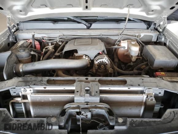 ✅ 2009 Chevrolet Silverado 1500 • VIN: 2GCEC23J491141524 • Lot: 68752334. Wystawiony na Copart z przebiegiem 123 223 mil. Bezpłatny archiwum sprzedaży aukcyjnych z USA i szczegółowy raport historii pojazdu na DreamBid. Zdjęcie 11.