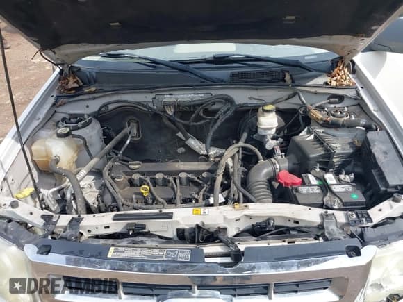 ✅ 2011 Ford Escape XLS • VIN: 1FMCU0C74BKC17466 • Лот: 43534801. Опубликован ранее на IAAI с пробегом 194 604 миль. Бесплатный доступ к архиву аукционных продаж из США и подробный отчёт об истории автомобиля на DreamBid. Изображение 10.