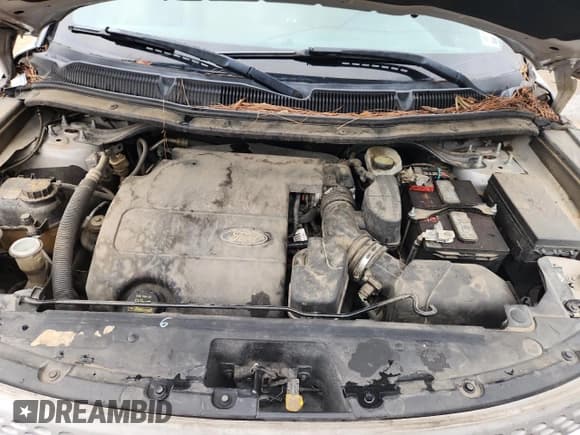 ✅ 2011 Ford Explorer • VIN: 1FMHK7B87BGA90844 • Lot: 93630575. Wystawiony na Copart z przebiegiem 286 121 mil. Bezpłatny archiwum sprzedaży aukcyjnych z USA i szczegółowy raport historii pojazdu na DreamBid. Zdjęcie 12.