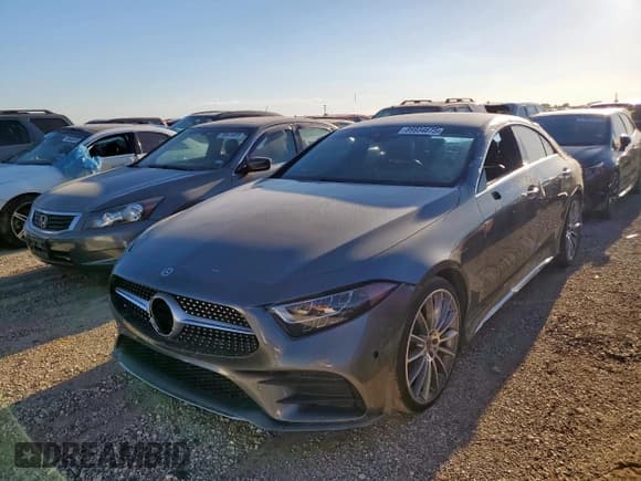 ✅ 2019 Mercedes-Benz CLS 450 • VIN: WDD2J5JB2KA028484 • Lot: 89934675. Listed on Copart with Not provided. Free auction sales archive from the USA and detailed vehicle history report at DreamBid. Image 1.