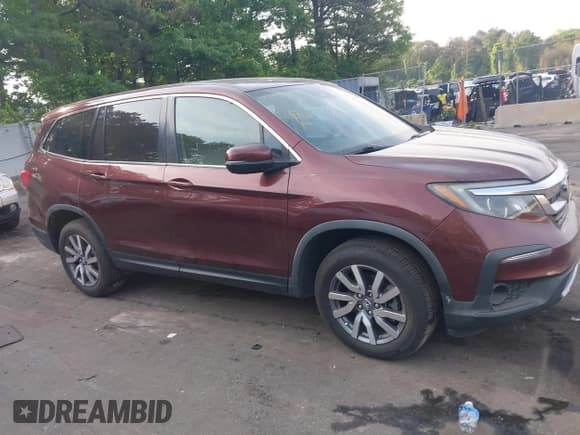✅ 2019 Honda Pilot EX-L • VIN: 5FNYF5H5XKB045563 • Лот: 42329311. Опубликован ранее на IAAI с пробегом 46 903 миль. Бесплатный доступ к архиву аукционных продаж из США и подробный отчёт об истории автомобиля на DreamBid. Изображение 13.