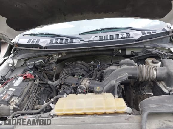 ✅ 2017 Ford F-150 XL • VIN: 1FTEX1E81HKE23532 • Lot: 42345224. Listed on IAAI with 171,730 mi. Free auction sales archive from the USA and detailed vehicle history report at DreamBid. Image 10.