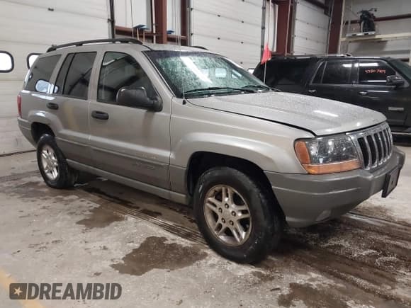 ✅ 2002 Jeep Grand Cherokee Laredo • VIN: 1J4GW48S62C170319 • Lot: 43803686. Listed on IAAI with 166,107 mi. Free auction sales archive from the USA and detailed vehicle history report at DreamBid. Image 1.