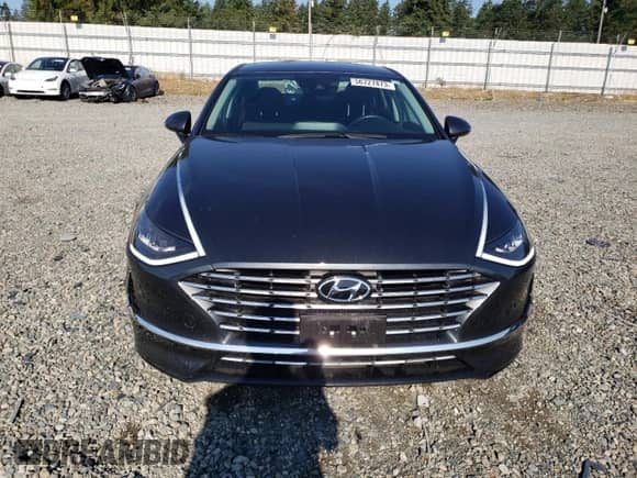 ✅ 2020 Hyundai Sonata Ultimate • VIN: KMHL34JJ0LA011996 • Лот: 56727873. Размещён на Copart с пробегом 19 475 миль миль. Получите бесплатный доступ к архиву аукционных продаж из США и посмотрите подробный отчёт об истории автомобиля на DreamBid. Изображение 5.