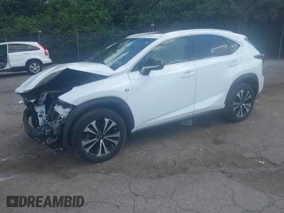 ✅ 2019 Lexus NX 300 • VIN: JTJBARBZ6K2207650 • Lot: 42712222. Listed on IAAI with 46,490 mi. Free auction sales archive from the USA and detailed vehicle history report at DreamBid. Image 18.