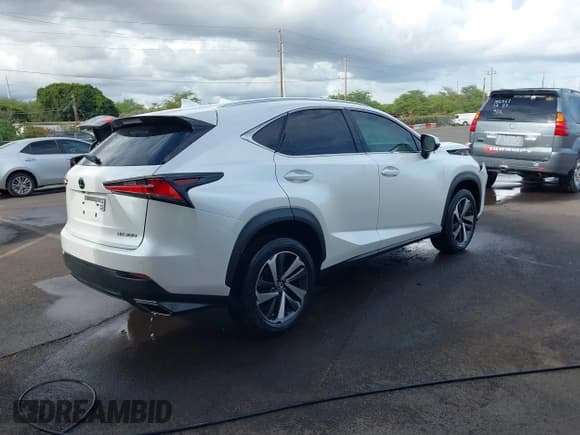 ✅ 2018 Lexus NX 300 • VIN: JTJYARBZXJ2109195 • Lot: 42045698. Listed on IAAI with 41,583 mi. Free auction sales archive from the USA and detailed vehicle history report at DreamBid. Image 4.