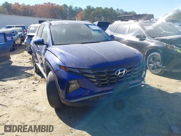 ✅ 2024 Hyundai Tucson SEL • VIN: 5NMJBCDE0RH343250 • Lot: 43520383. Listed on IAAI with 58,149 mi. Free auction sales archive from the USA and detailed vehicle history report at DreamBid. Image 1.