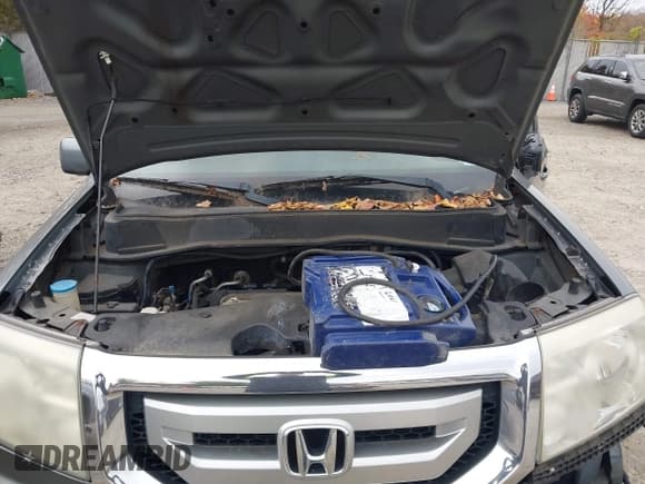 ✅ 2009 Honda Pilot EX • VIN: 5FNYF48469B055437 • Лот: 43603384. Опубликован ранее на IAAI с пробегом 258 849 миль. Бесплатный доступ к архиву аукционных продаж из США и подробный отчёт об истории автомобиля на DreamBid. Изображение 10.