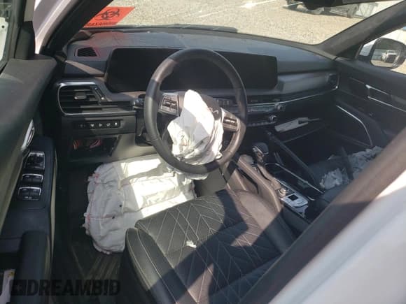 ✅ 2024 Kia Telluride SX Prestige X-Line • VIN: 5XYP5DGCXRG496293 • Lot: 65825045. Listed on Copart with Not provided. Free auction sales archive from the USA and detailed vehicle history report at DreamBid. Image 8.