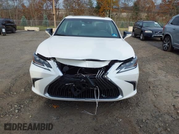 ✅ 2020 Lexus ES 300h • VIN: 58AD21B19LU004623 • Lot: 43619390. Listed on IAAI with 92,580 mi. Free auction sales archive from the USA and detailed vehicle history report at DreamBid. Image 6.