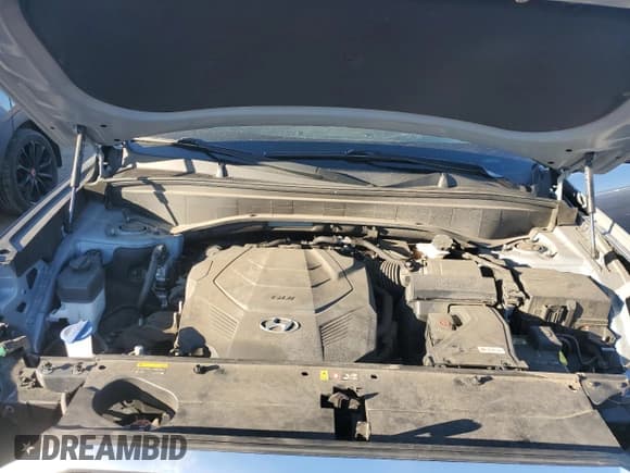 ✅ 2020 Hyundai Palisade SEL • VIN: KM8R4DHE1LU105674 • Лот: 45978165. Опубликован ранее на Copart с пробегом 51 904 миль. Бесплатный доступ к архиву аукционных продаж из США и подробный отчёт об истории автомобиля на DreamBid. Изображение 12.