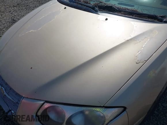 ✅ 1999 Chrysler 300M M • VIN: 2C3HE66G6XH511184 • Lot: 42145927. Listed on IAAI with 204,588 mi. Free auction sales archive from the USA and detailed vehicle history report at DreamBid. Image 6.