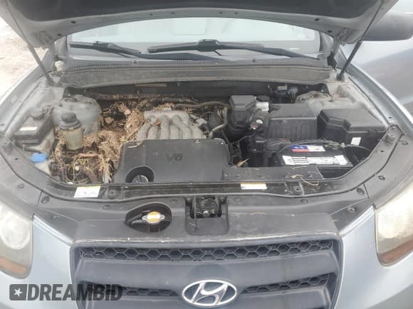 ✅ 2009 Hyundai Santa Fe GLS • VIN: 5NMSG73D79H299494 • Lot: 74937864. Listed on Copart with Not provided. Free auction sales archive from the USA and detailed vehicle history report at DreamBid. Image 12.