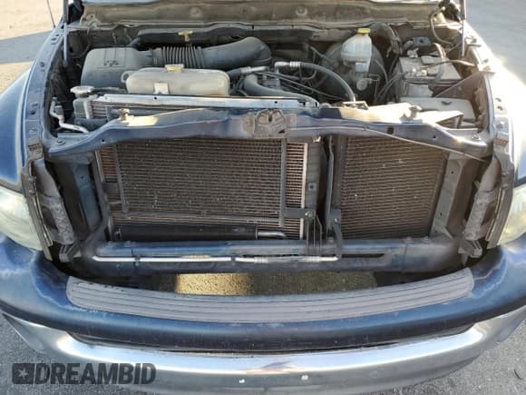 ✅ 2002 Dodge 1500 • VIN: 1D7HA18Z62J124768 • Лот: 74008504. Опубликован ранее на Copart с пробегом 168 862 миль. Бесплатный доступ к архиву аукционных продаж из США и подробный отчёт об истории автомобиля на DreamBid. Изображение 11.