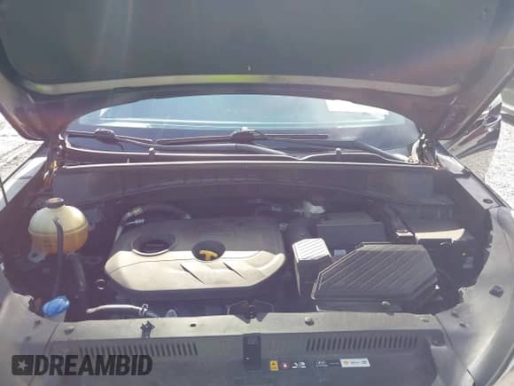 2017 Hyundai Tucson SE Plus с VIN KM8J33A43HU363178, выставлен на аукционе IAAI как лот 42502584 с пробегом 123 633 миль миль и . История ставок и продаж доступна на DreamBid. Изображение 10.