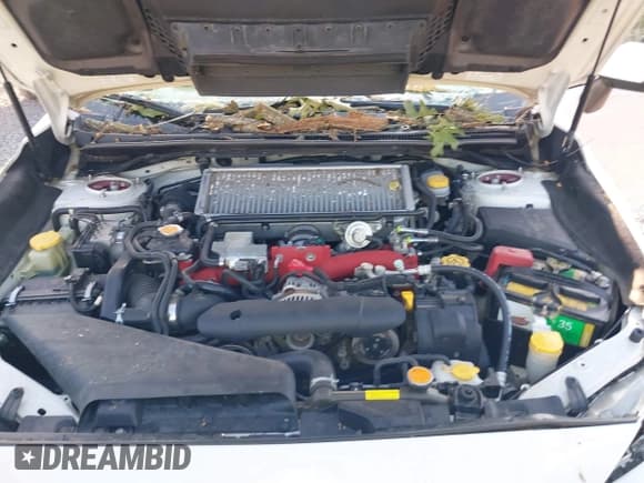 ✅ 2015 Subaru WRX STI • VIN: JF1VA2P65F9824661 • Lot: 42623315. Wystawiony na IAAI z przebiegiem 69 103 mil. Bezpłatny archiwum sprzedaży aukcyjnych z USA i szczegółowy raport historii pojazdu na DreamBid. Zdjęcie 10.