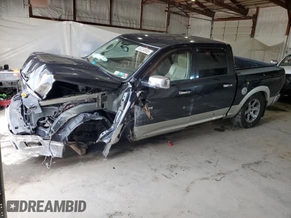 ✅ 2009 Dodge 1500 Laramie • VIN: 1D3HV13T49J511869 • Lot: 55224955. Wystawiony na Copart z przebiegiem 279 220 mil. Bezpłatny archiwum sprzedaży aukcyjnych z USA i szczegółowy raport historii pojazdu na DreamBid. Zdjęcie 1.