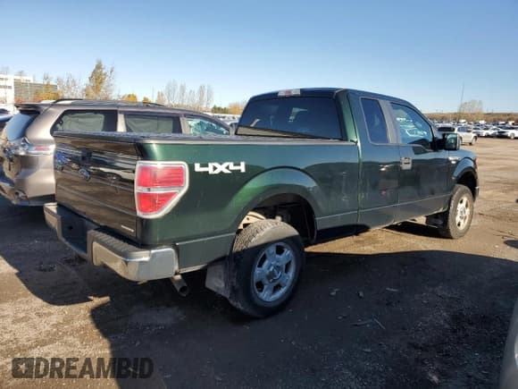 ✅ 2013 Ford F-150 XL • VIN: 1FTEX1EM0DFC07994 • Lot: 85668095. Listed on Copart with 198,794 mi. Free auction sales archive from the USA and detailed vehicle history report at DreamBid. Image 3.