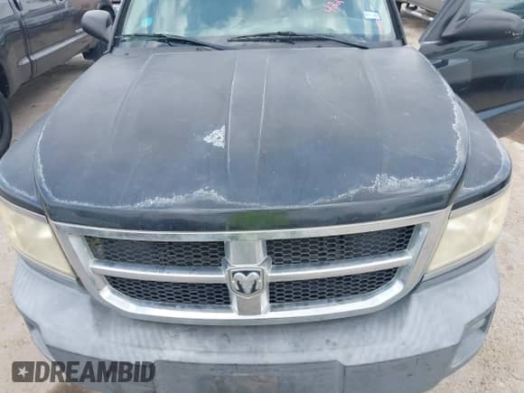 2008 Dodge Dakota Bighorn/Lonestar with VIN 1D7HE38K28S540466, listed as a IAAI auction lot 42292012 with 258,620 mi miles and . Bid and sale history available at DreamBid. Image 10.