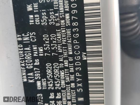 ✅ 2023 Kia Telluride EX X-Line • VIN: 5XYP3DGC0PG387909 • Lot: 67380355. Wystawiony na Copart z przebiegiem 105 279 mil. Bezpłatny archiwum sprzedaży aukcyjnych z USA i szczegółowy raport historii pojazdu na DreamBid. Zdjęcie 13.