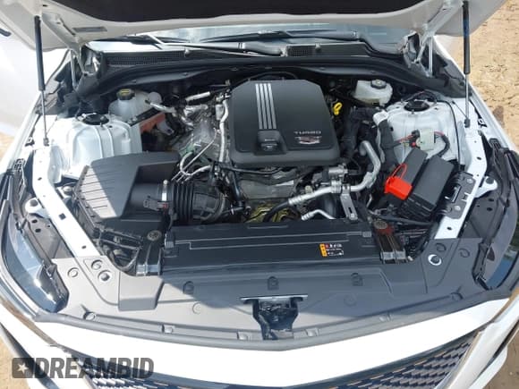 ✅ 2024 Cadillac CT5 Premium Luxury • VIN: 1G6DN5RK5R0113723 • Lot: 42404810. Wystawiony na IAAI z przebiegiem Nie podano. Bezpłatny archiwum sprzedaży aukcyjnych z USA i szczegółowy raport historii pojazdu na DreamBid. Zdjęcie 10.