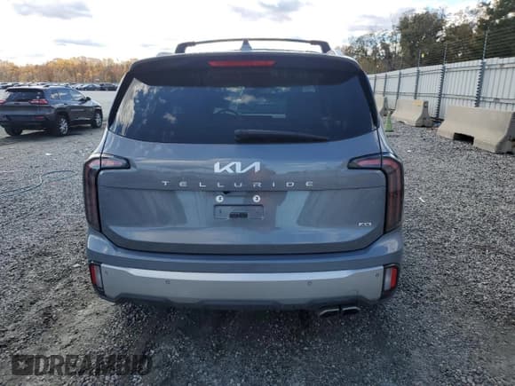 ✅ 2024 Kia Telluride SX X-Pro • VIN: 5XYP5DGC3RG435383 • Lot: 91875535. Wystawiony na Copart z przebiegiem 33 730 mil. Bezpłatny archiwum sprzedaży aukcyjnych z USA i szczegółowy raport historii pojazdu na DreamBid. Zdjęcie 6.