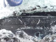 ✅ 2021 Lexus GX 460 Premium • VIN: JTJAM7BX2M5276567 • Lot: 41614538. Wystawiony na IAAI z przebiegiem 73 482 mil. Bezpłatny archiwum sprzedaży aukcyjnych z USA i szczegółowy raport historii pojazdu na DreamBid. Zdjęcie 9.