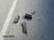 2001 Chevrolet Silverado 1500 LT z VIN 1GCEC19T61Z196121, wystawiony jako Copart lot #52824795 z przebiegiem 201 224 mil mil oraz Szkoda całkowita • Salvage title. Historia ofert i sprzedaży dostępna na DreamBid. Obrazek 12.