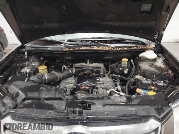 ✅ 2008 Subaru Tribeca Limited • VIN: 4S4WX90D684405115 • Lot: 41590108. Listed on IAAI with 178,469 mi. Free auction sales archive from the USA and detailed vehicle history report at DreamBid. Image 10.