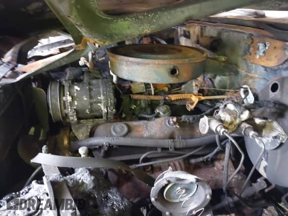 1991 Dodge Dakota with VIN 1B7FL26Y7MS253725, listed as a IAAI auction lot 43037024 with Not provided miles and . Bid and sale history available at DreamBid. Image 10.