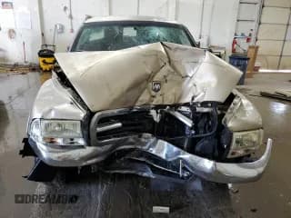 ✅ 2003 Dodge Dakota SLT • VIN: 1D7HL42N63S132141 • Lot: 56138235. Wystawiony na Copart z przebiegiem 219 246 mil. Bezpłatny archiwum sprzedaży aukcyjnych z USA i szczegółowy raport historii pojazdu na DreamBid. Zdjęcie 5.