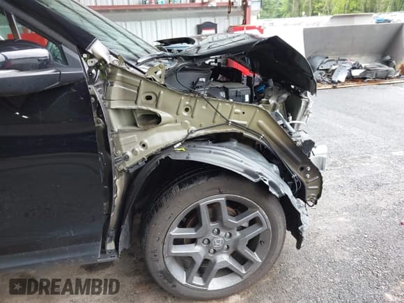 ✅ 2023 Honda Passport EX-L • VIN: 5FNYF8H5XPB021370 • Лот: 42336366. Опубликован ранее на IAAI с пробегом 36 175 миль. Бесплатный доступ к архиву аукционных продаж из США и подробный отчёт об истории автомобиля на DreamBid. Изображение 18.