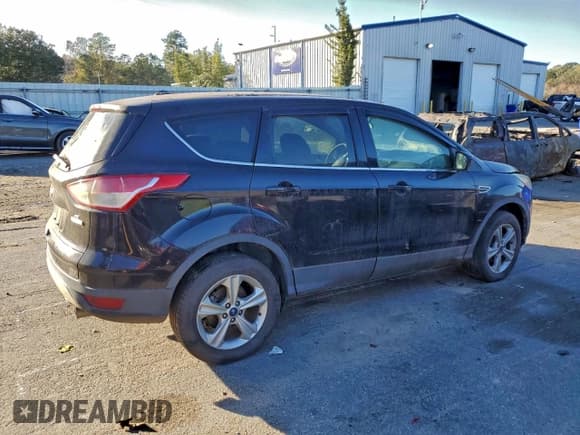 ✅ 2013 Ford Escape SE • VIN: 1FMCU0GX0DUD17033 • Lot: 95516505. Listed on Copart with 130,432 mi. Free auction sales archive from the USA and detailed vehicle history report at DreamBid. Image 3.