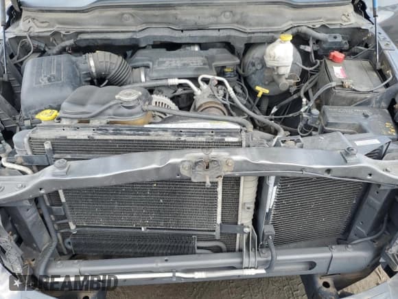 ✅ 2003 Dodge 1500 ST • VIN: 1D7HU16D43J628641 • Лот: 62378135. Опубликован ранее на Copart с пробегом 237 218 миль. Бесплатный доступ к архиву аукционных продаж из США и подробный отчёт об истории автомобиля на DreamBid. Изображение 11.