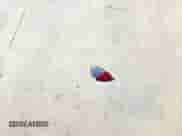 2019 Mitsubishi Outlander SE с VIN JA4AD3A33KZ050144, выставлен на аукционе Copart как лот 71791425 с пробегом 113 654 миль миль и Списание • Salvage title. История ставок и продаж доступна на DreamBid. Изображение 12.