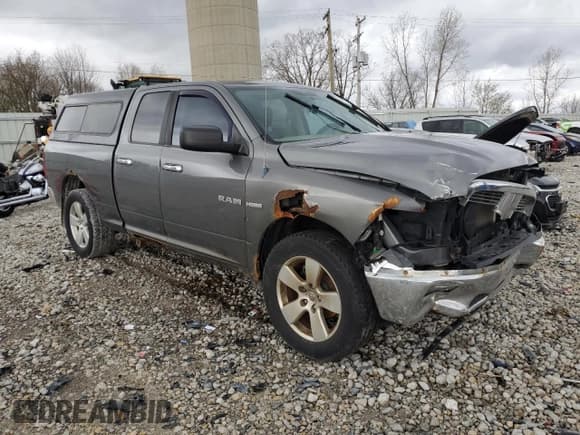 ✅ 2010 Dodge 1500 ST • VIN: 1D7RV1GT5AS110312 • Lot: 53839575. Wystawiony na Copart z przebiegiem 193 745 mil. Bezpłatny archiwum sprzedaży aukcyjnych z USA i szczegółowy raport historii pojazdu na DreamBid. Zdjęcie 4.