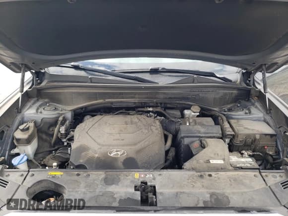 ✅ 2020 Hyundai Palisade SEL • VIN: KM8R34HE7LU084087 • Lot: 81447714. Listed on Copart with 114,554 mi. Free auction sales archive from the USA and detailed vehicle history report at DreamBid. Image 13.