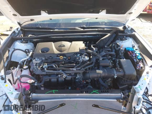 2025 Toyota Camry LE с VIN 4T1DAACKXSU611629, выставлен на аукционе IAAI как лот 43179481 с пробегом Не указан миль и . История ставок и продаж доступна на DreamBid. Изображение 10.