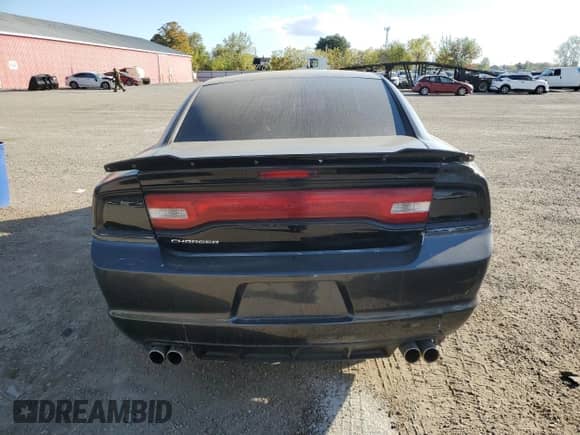 2014 Dodge Charger SE z VIN 2C3CDXBG3EH252224, wystawiony jako Copart lot #80916435 z przebiegiem Nie podano mil oraz Nie do naprawy • Non repairable. Historia ofert i sprzedaży dostępna na DreamBid. Obrazek 6.