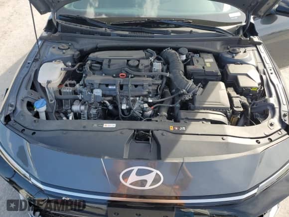 2024 Hyundai Elantra N Line with VIN KMHLR4DF8RU748800, listed as a Copart auction lot 81565935 with 10,261 mi miles and Clean title. Bid and sale history available at DreamBid. Image 11.