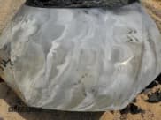 ✅ 2024 Audi A5 Sportback S line Premium • VIN: WAUDACF51RA032172 • Лот: 52730095. Опубликован ранее на Copart с пробегом Не указан. Бесплатный доступ к архиву аукционных продаж из США и подробный отчёт об истории автомобиля на DreamBid. Изображение 11.